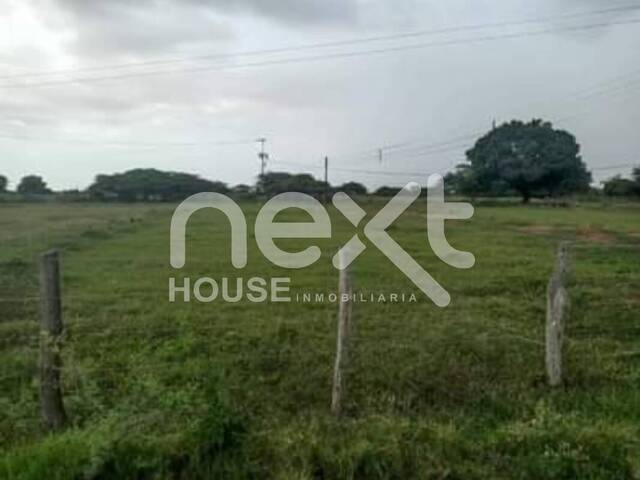 #295 - GRANJA / FINCA para Venta en Maracaibo - V - 1