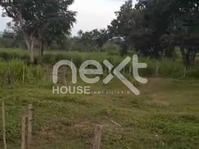 #450 - GRANJA / FINCA para Venta en Maracaibo - V - 3