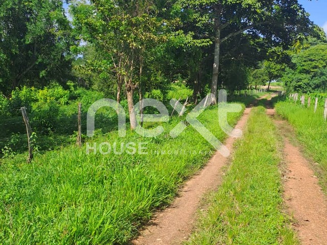 #451 - GRANJA / FINCA para Venta en Cabimas - V - 3